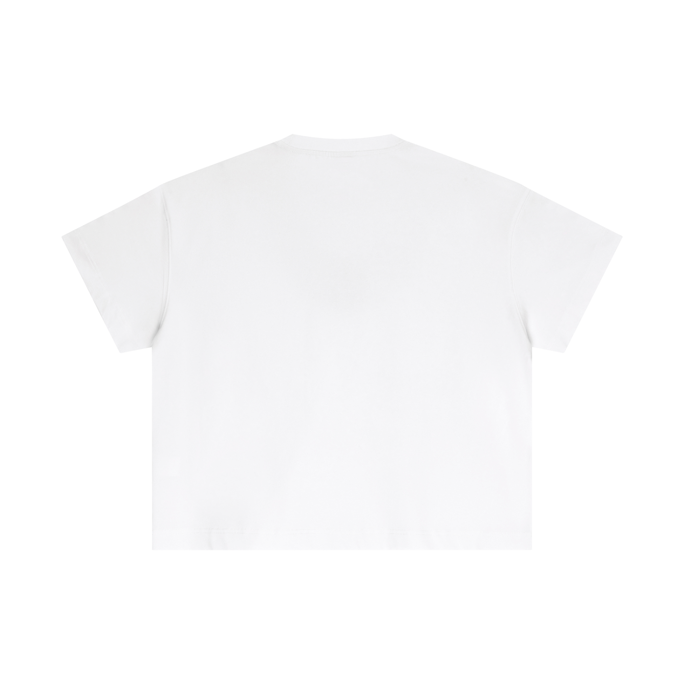 Rojbash Kurdistan - Premium Boxy Cotton Tee